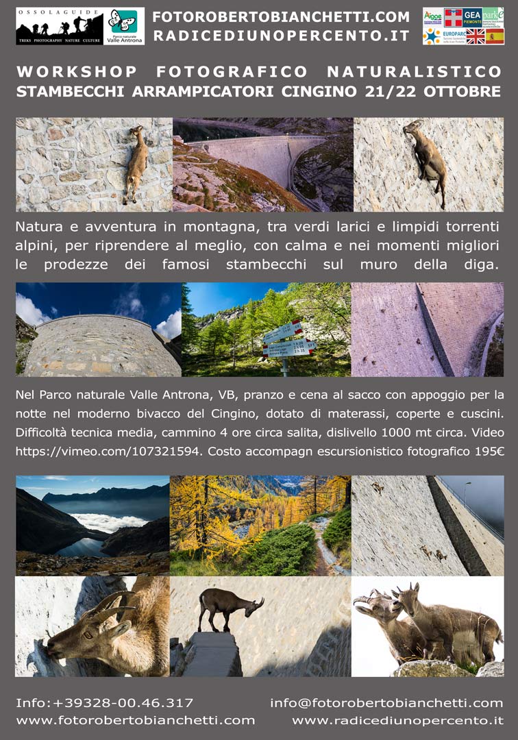 locandina ws foto stambecchi 21 22 ottobre web